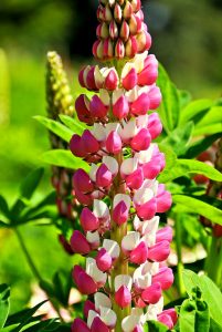 pfingstferien-ungarn-06