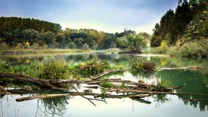 duna ipoly nationalpark 01